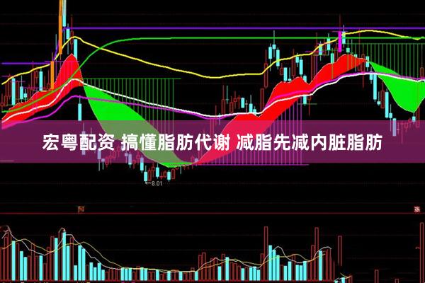 宏粤配资 搞懂脂肪代谢 减脂先减内脏脂肪