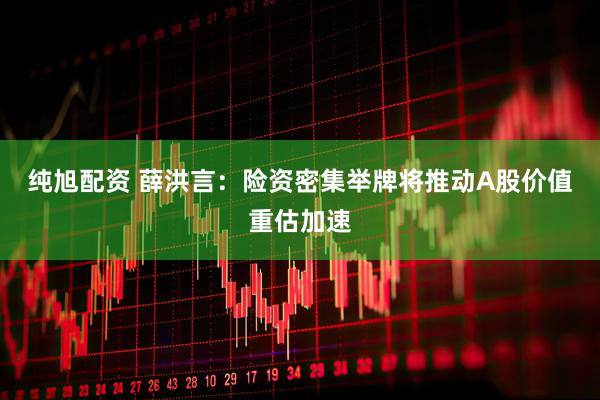 纯旭配资 薛洪言：险资密集举牌将推动A股价值重估加速