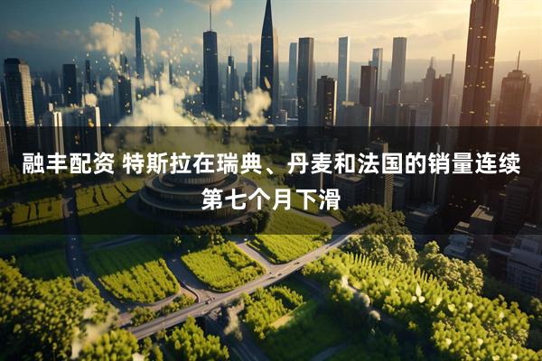 融丰配资 特斯拉在瑞典、丹麦和法国的销量连续第七个月下滑