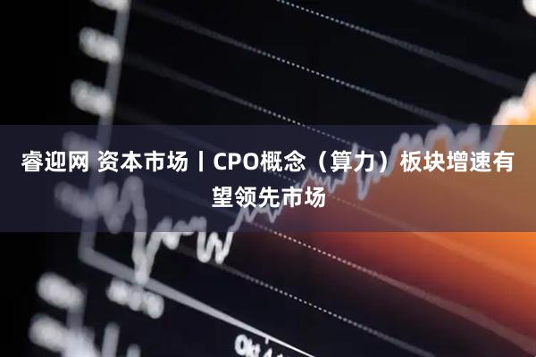 睿迎网 资本市场丨CPO概念（算力）板块增速有望领先市场