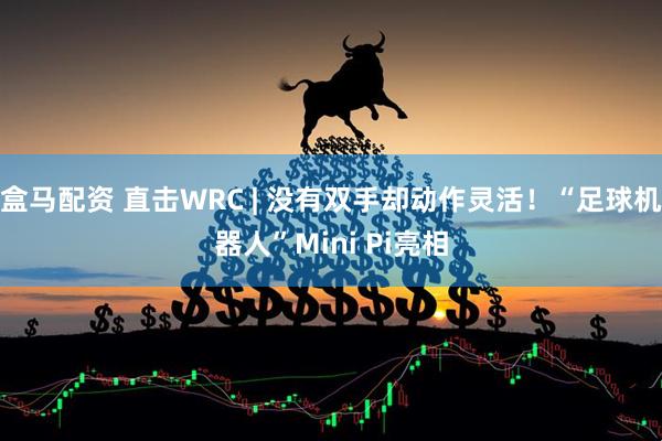 盒马配资 直击WRC | 没有双手却动作灵活！“足球机器人”Mini Pi亮相