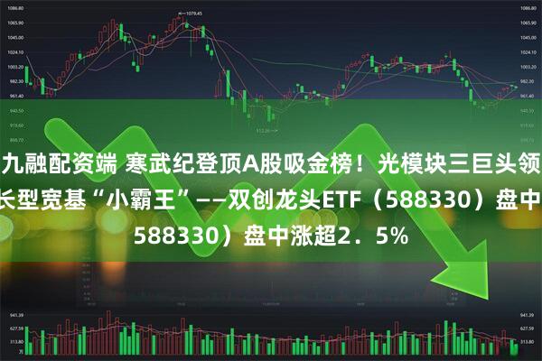 九融配资端 寒武纪登顶A股吸金榜！光模块三巨头领涨，A股成长型宽基“小霸王”——双创龙头ETF（588330）盘中涨超2．5%