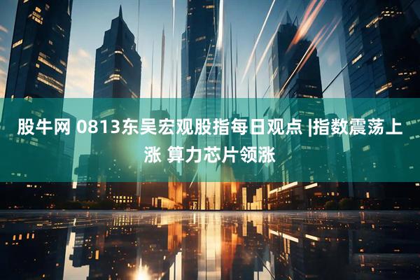 股牛网 0813东吴宏观股指每日观点 |指数震荡上涨 算力芯片领涨