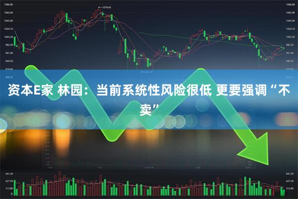 资本E家 林园：当前系统性风险很低 更要强调“不卖”