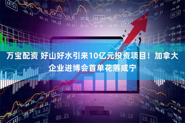 万宝配资 好山好水引来10亿元投资项目！加拿大企业进博会首单花落咸宁