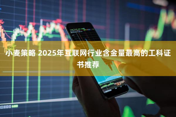 小麦策略 2025年互联网行业含金量最高的工科证书推荐